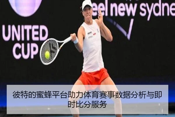 彼特的蜜蜂平台助力体育赛事数据分析与即时比分服务